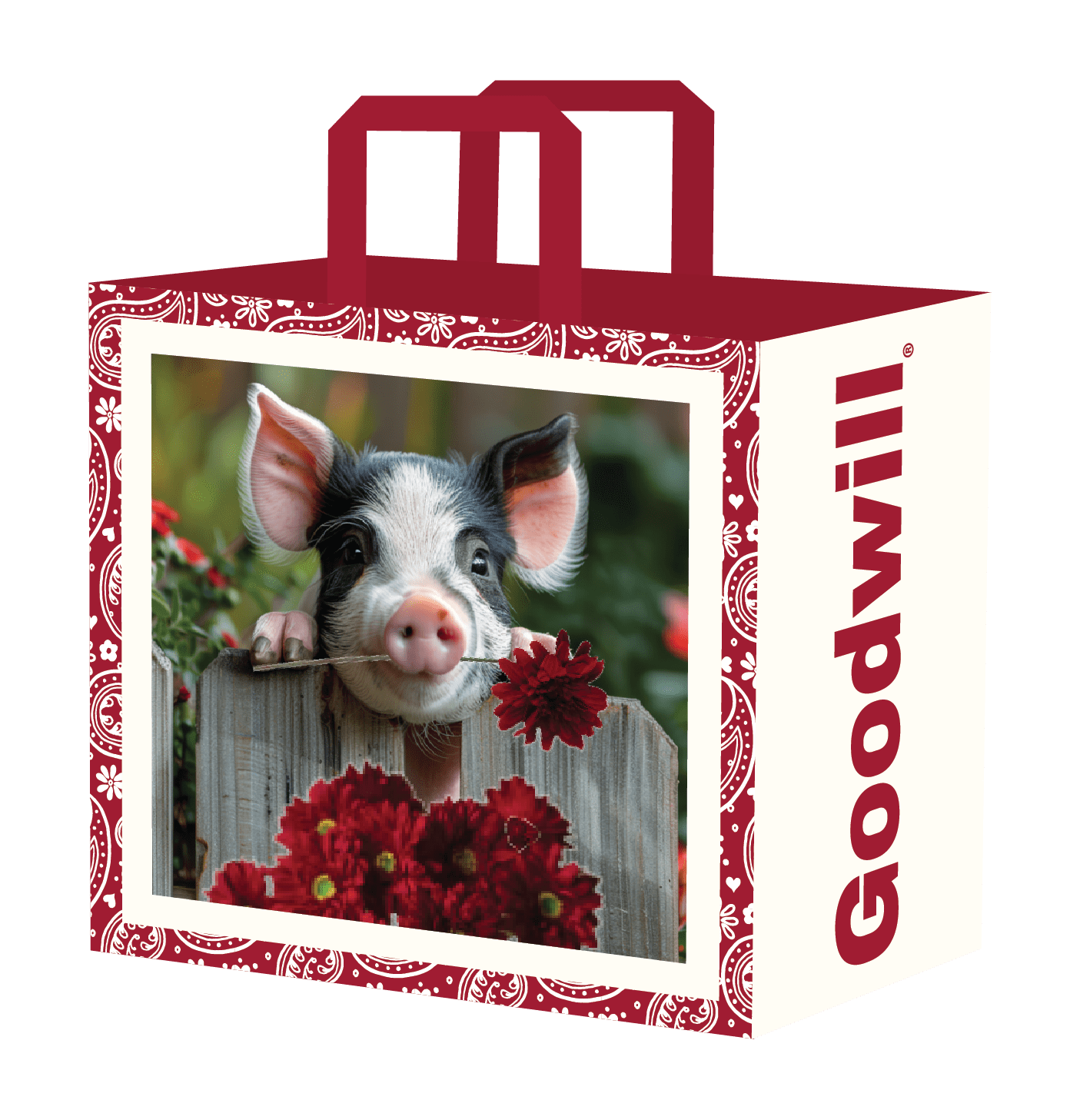 Reusable Shopping Bag