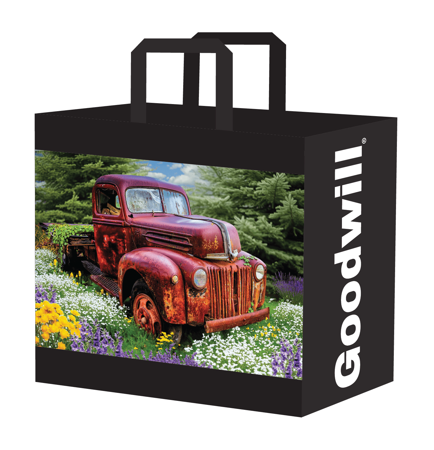 Reusable shopping bag