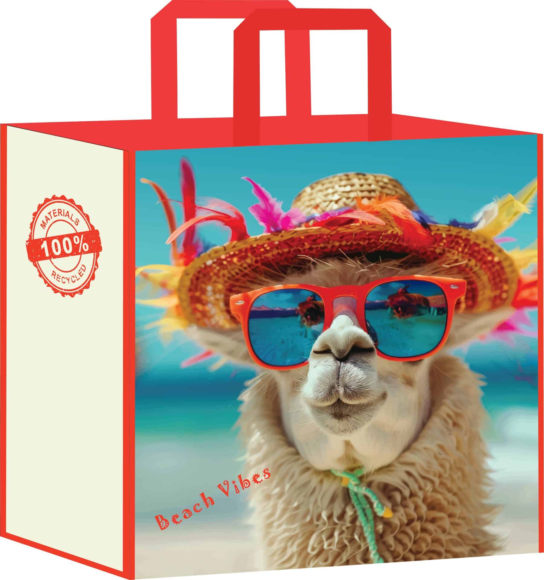 Reusable Shopping Bag NB